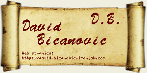 David Bicanović vizit kartica